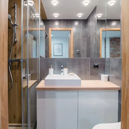 Apartment Pracownia Pod Kominem Poznan